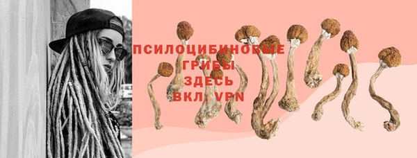 гашиш Ельня