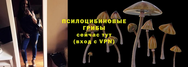 гидропоника Елизово