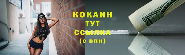 гидропоника Елизово